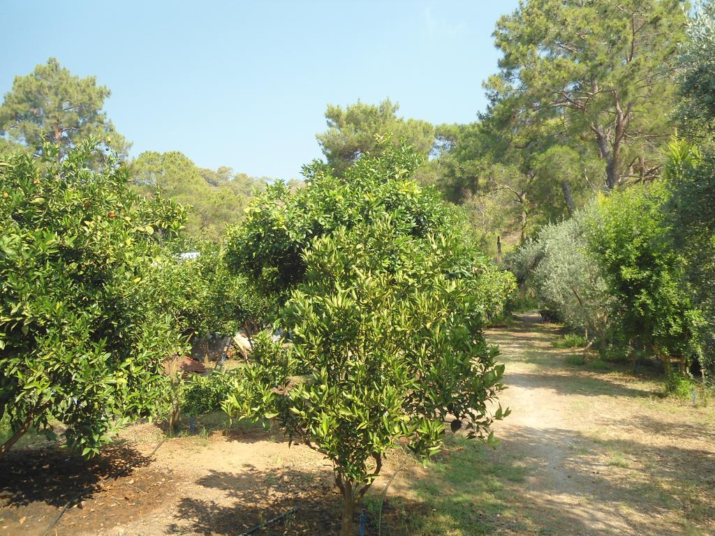 Bungalow Halil Çıralı Exterior foto